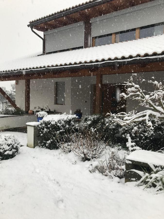 Apartmán Haus Greti Magre all' Adige Exteriér fotografie